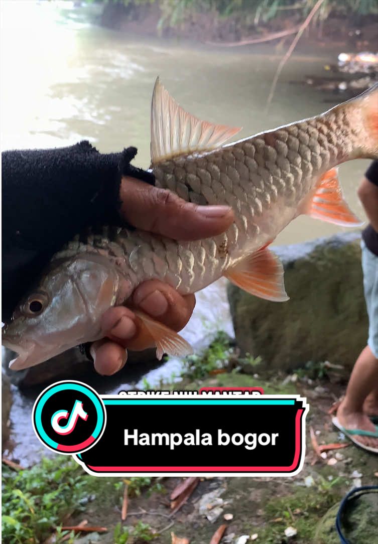 @Bang Fajri 🎣