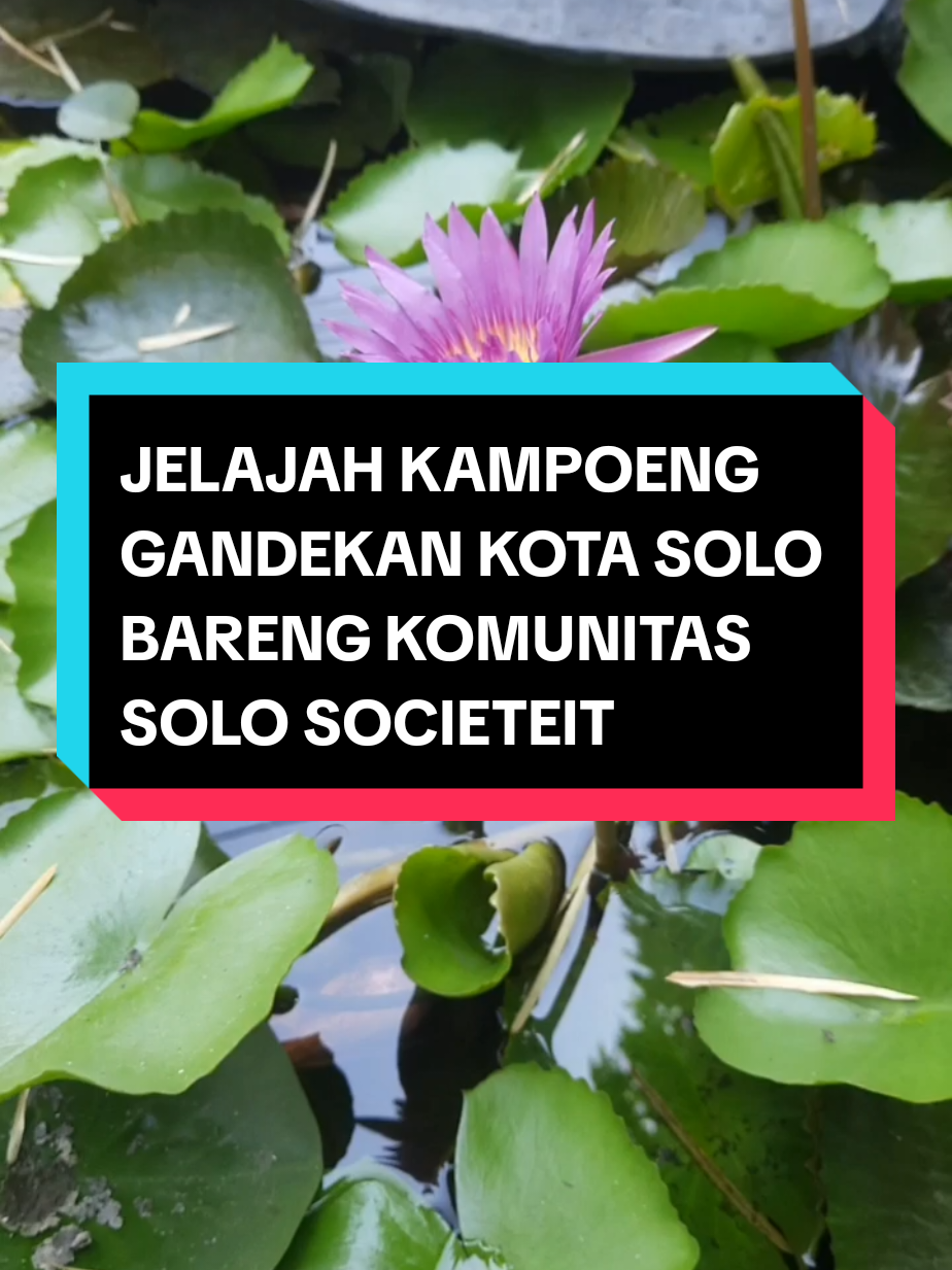 @Jejak MasBey