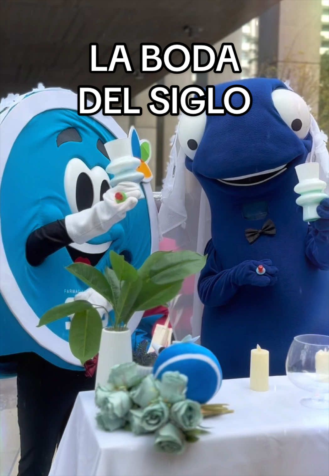 @Los Monos del Bci