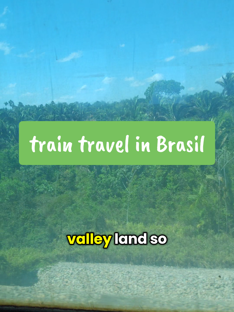 @callafelicityBrasil