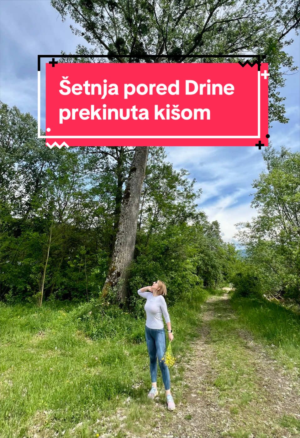 @pticaselica