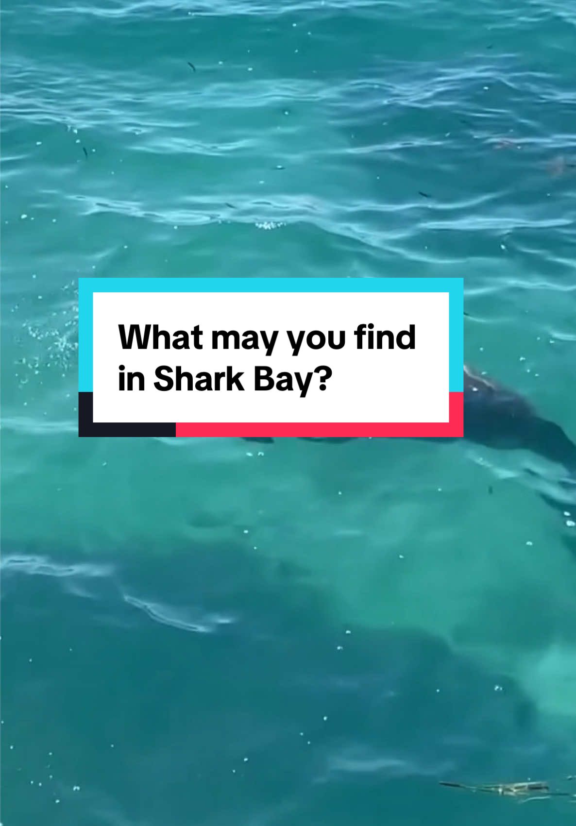 @Australia&rsquo;s Coral Coast