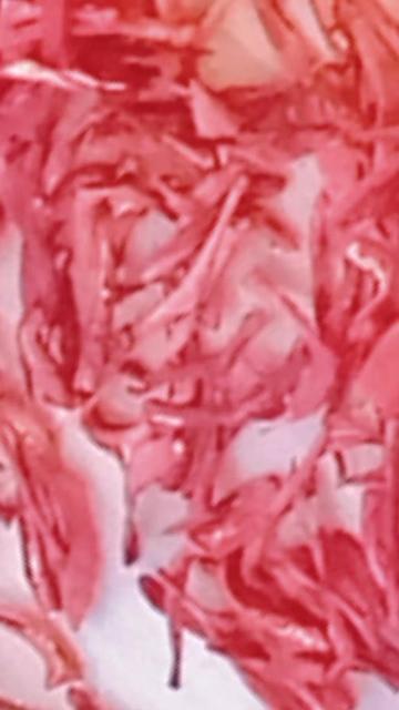 @KADERSİZ.. CEYLAN