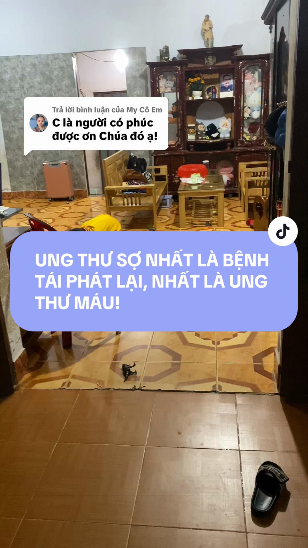 @trinhwin196
