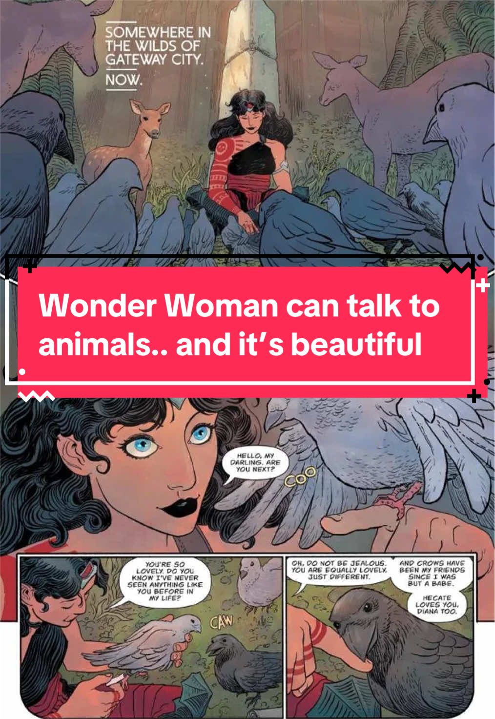@wondywoman