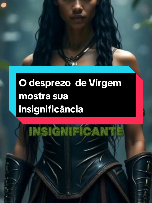 @tudosobreos12signos_virginiana