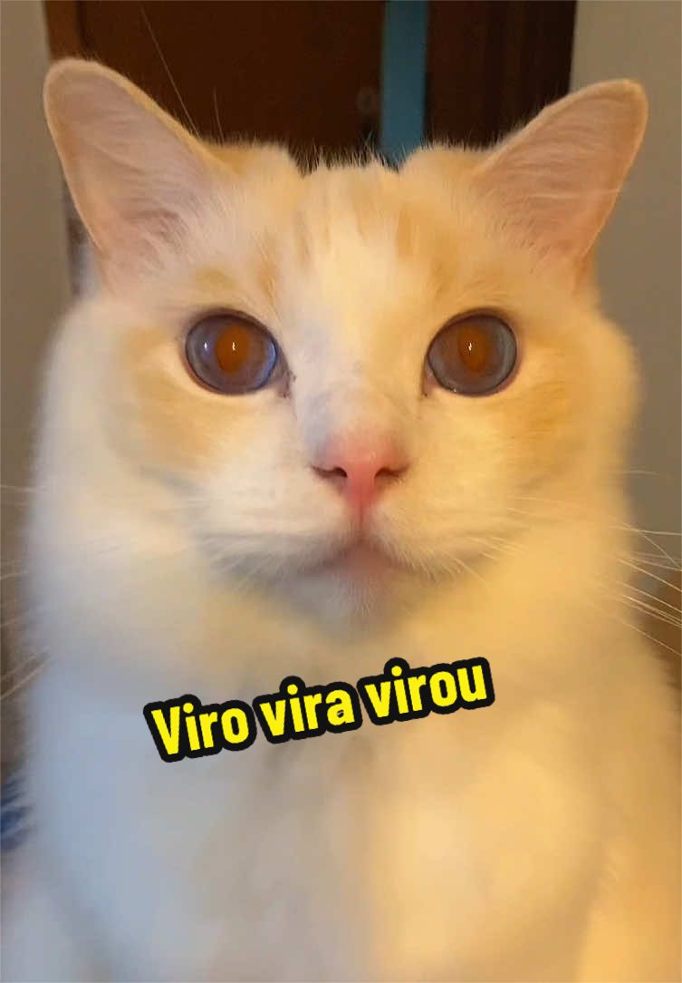 @𝒫𝑒𝓉𝓉𝑒𝓇 ♡