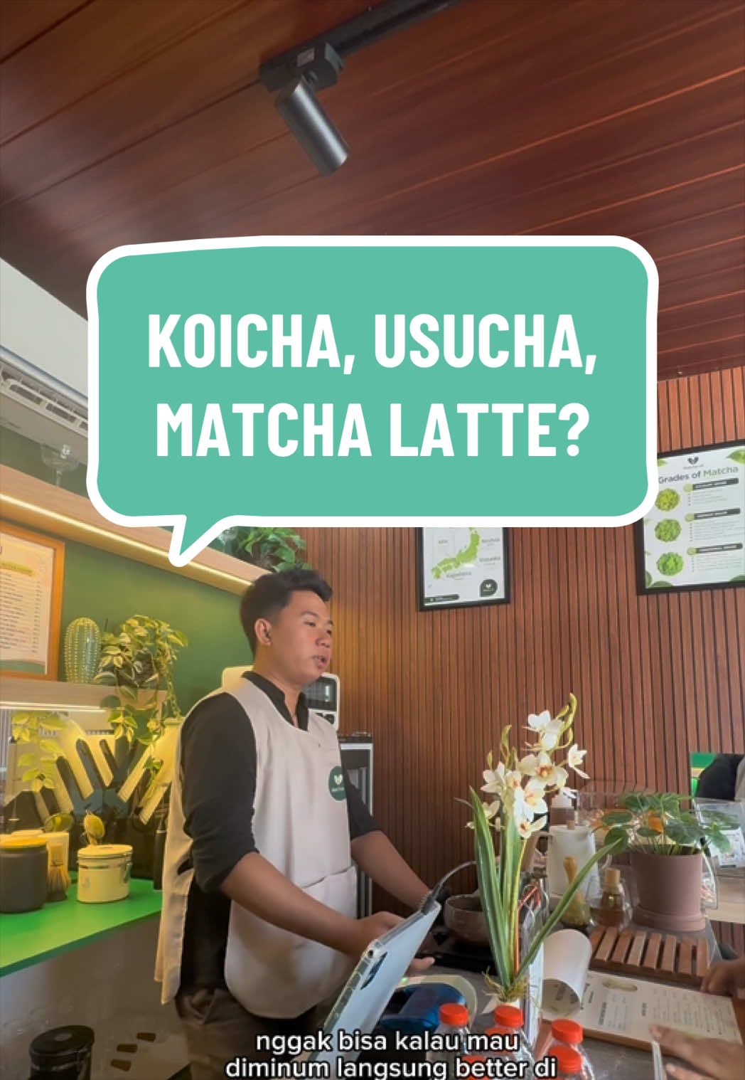 @MATCHASII SUPPLIER MATCHA
