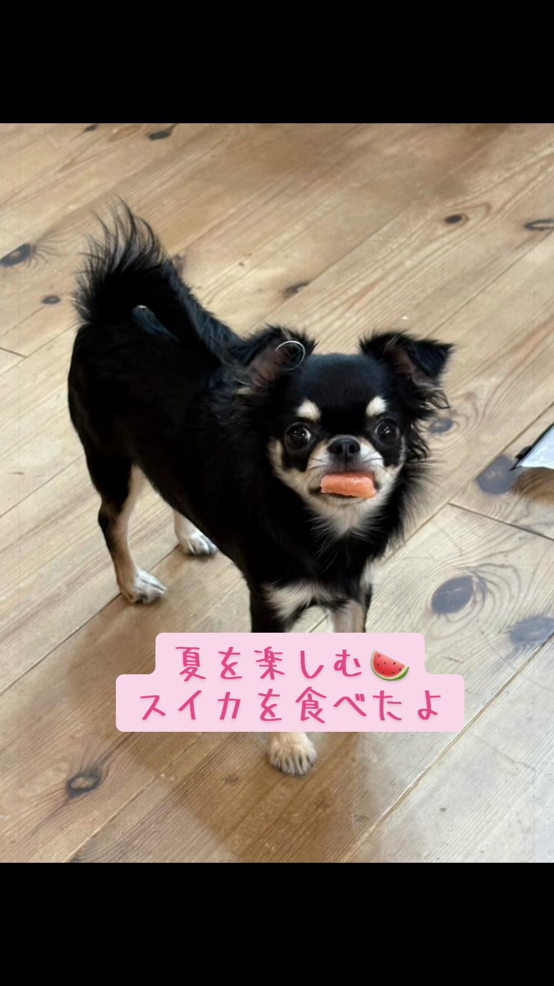 @ちぃちゃん🪽🎀