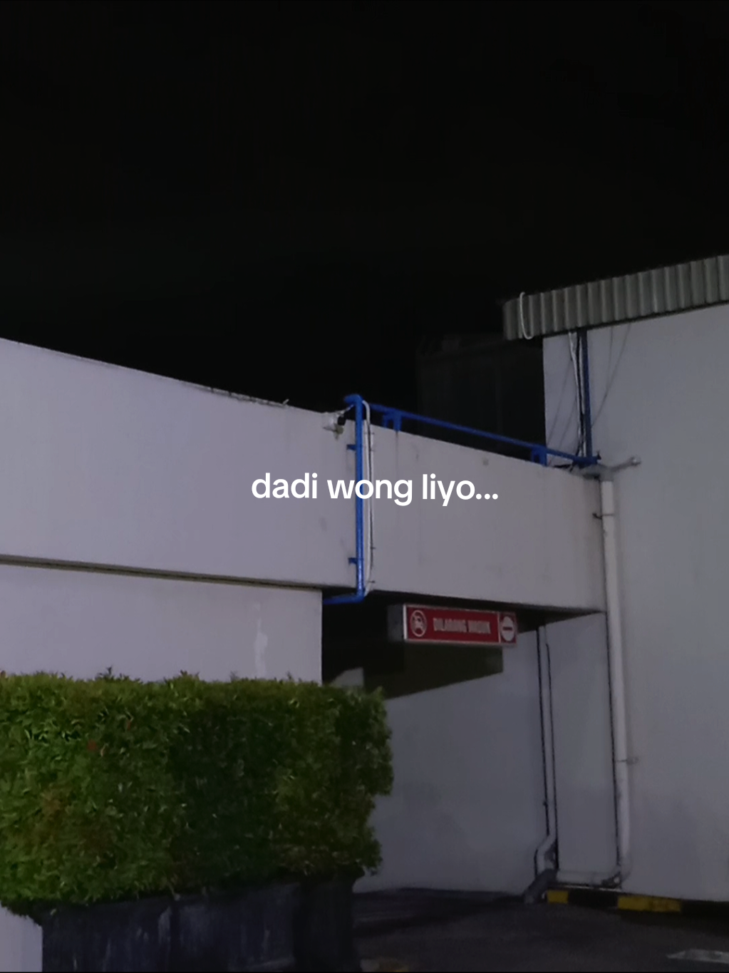 @zdnnn