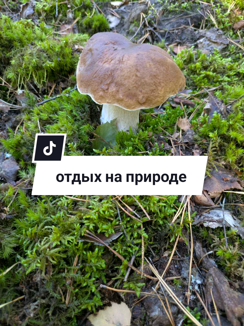 @Рыся✔️🇧🇾