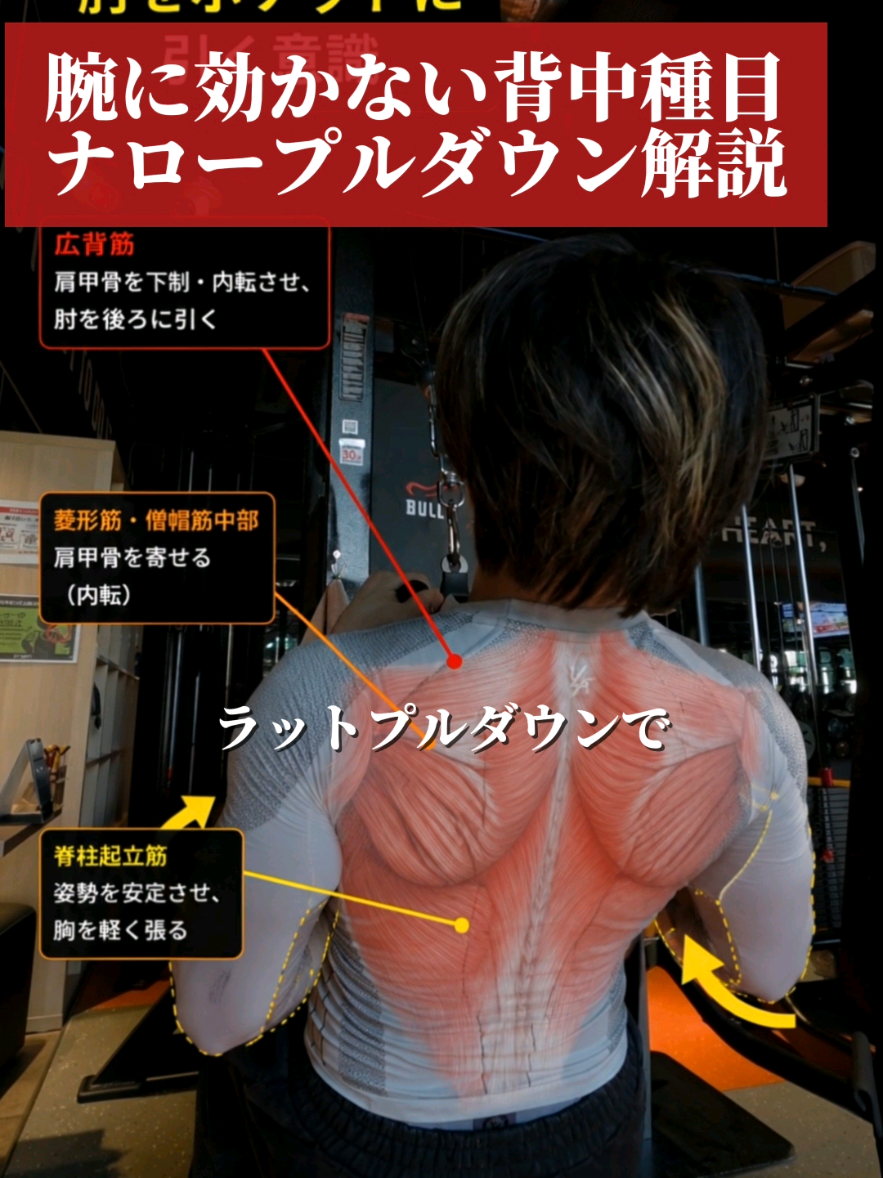 @妻筋/忖度ゼロで上級者へ導く