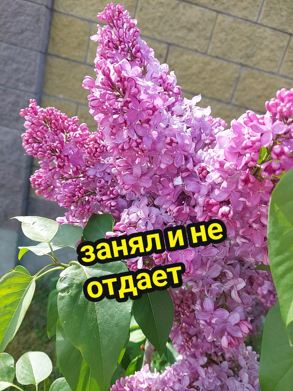 @Рыся✔️🇧🇾