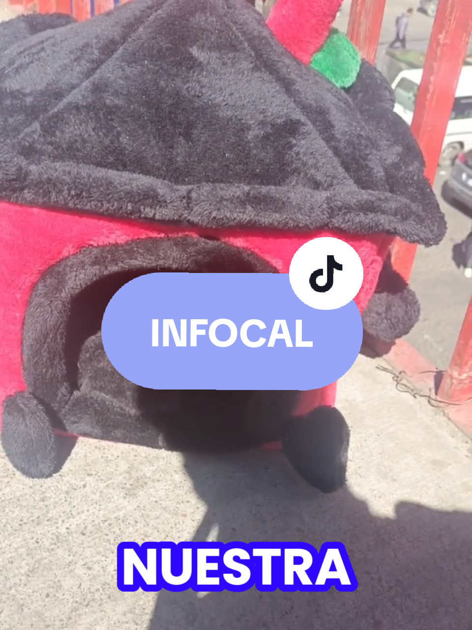 @Minxgia Pets