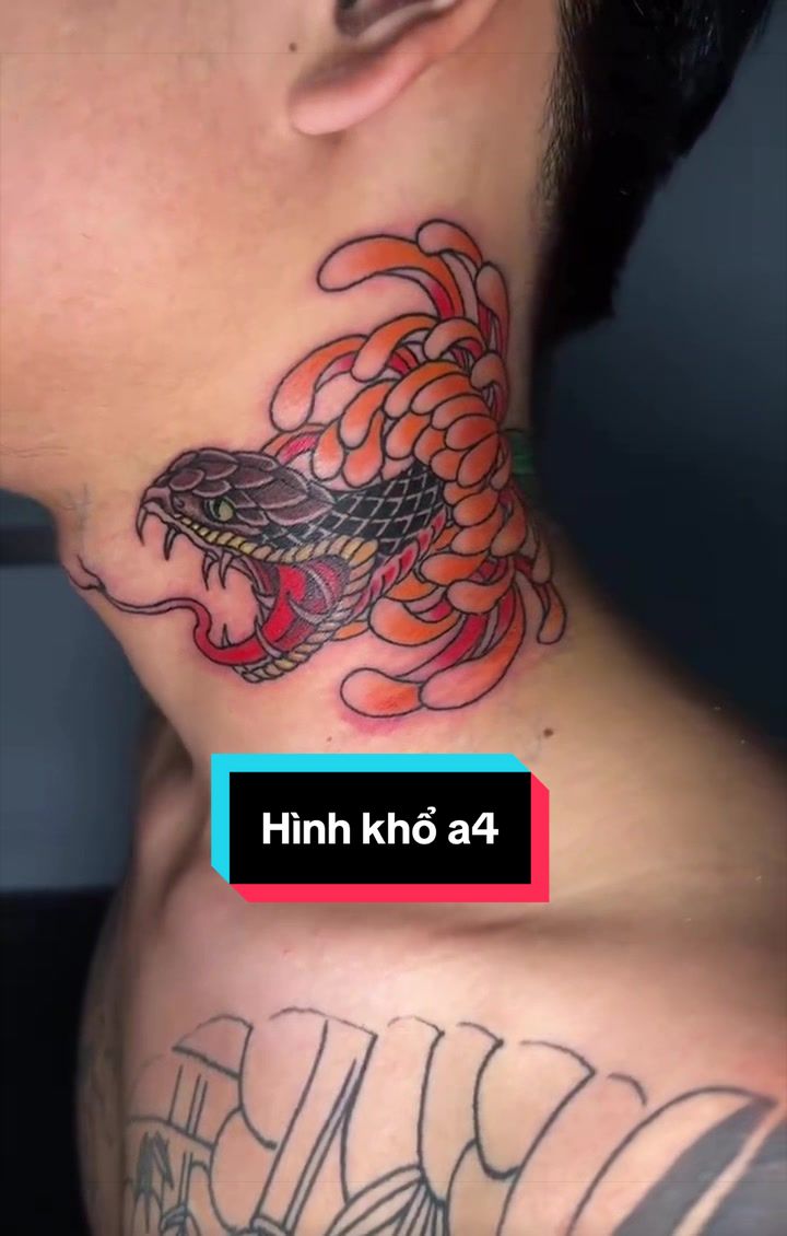 @Xăm không đau,Trà Vinh