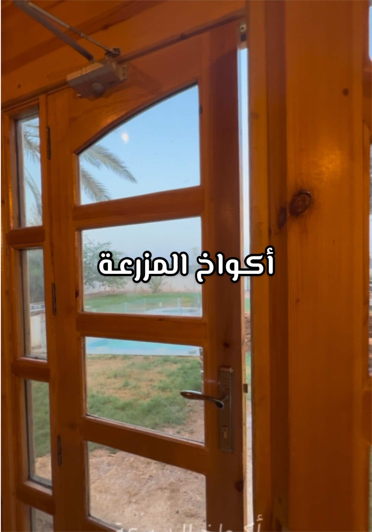 @نـوسـا المديـنــة 🪿