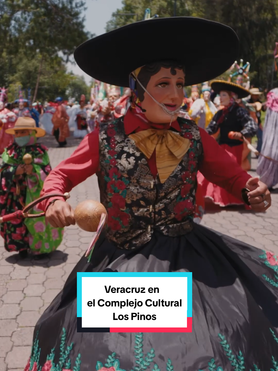 @Secretar&iacute;a de Cultura M&eacute;xico