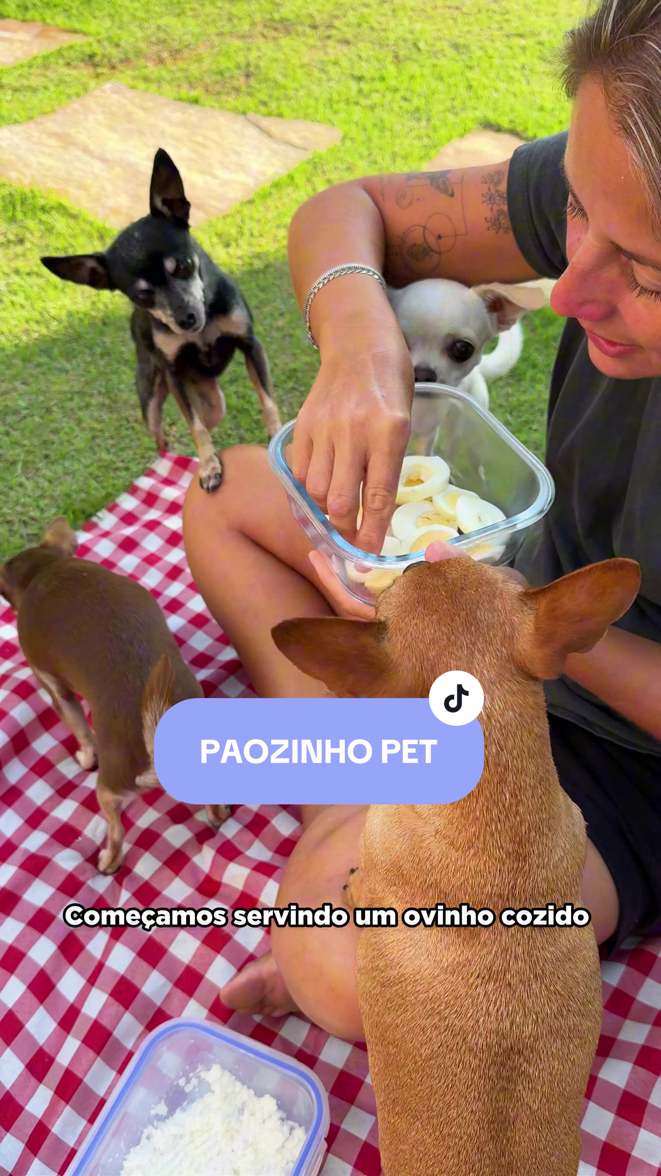 @Pequenos Pr&iacute;ncipes