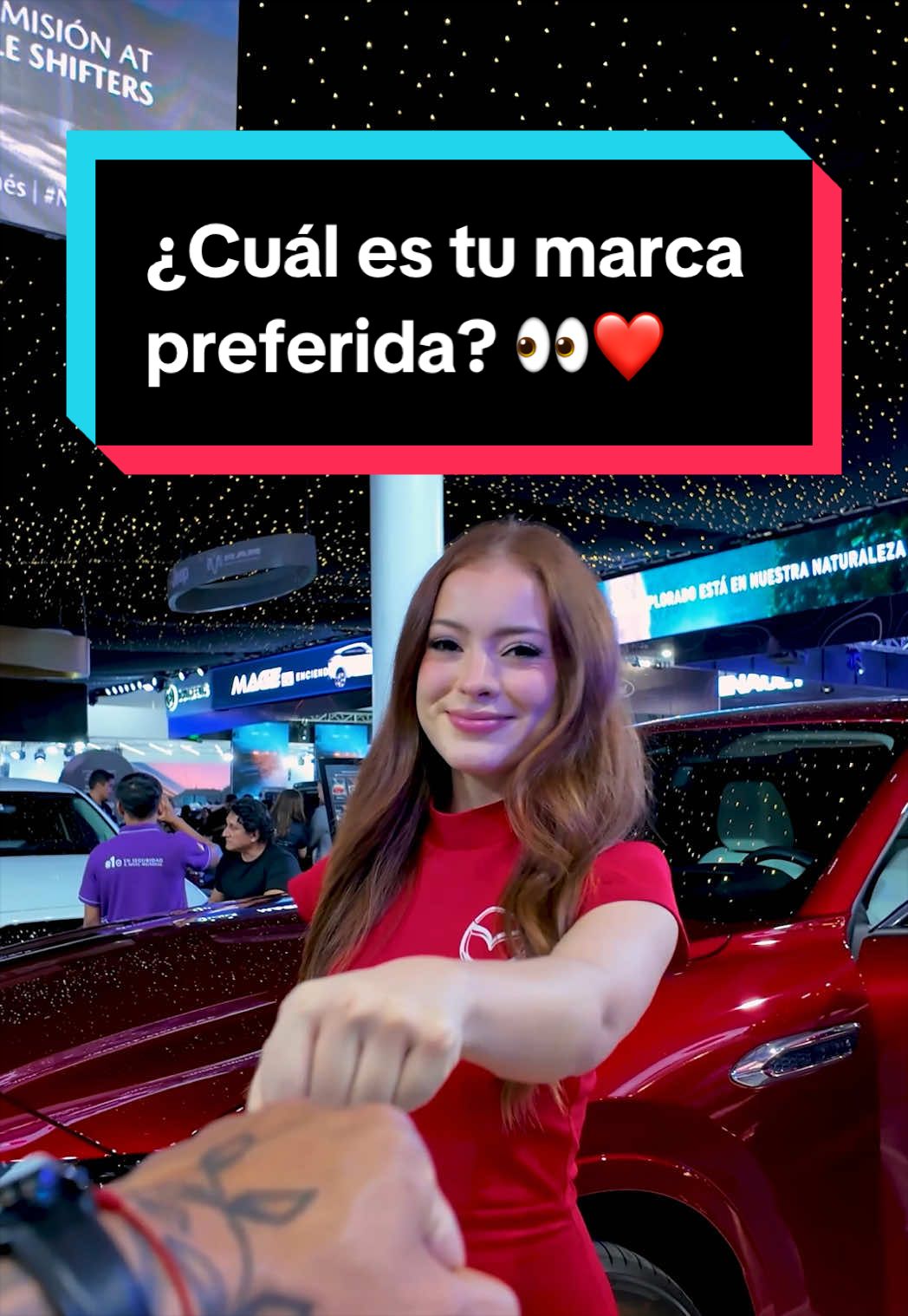 @José David Araujo