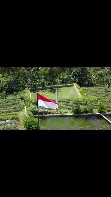 @WANDI TEKNIK