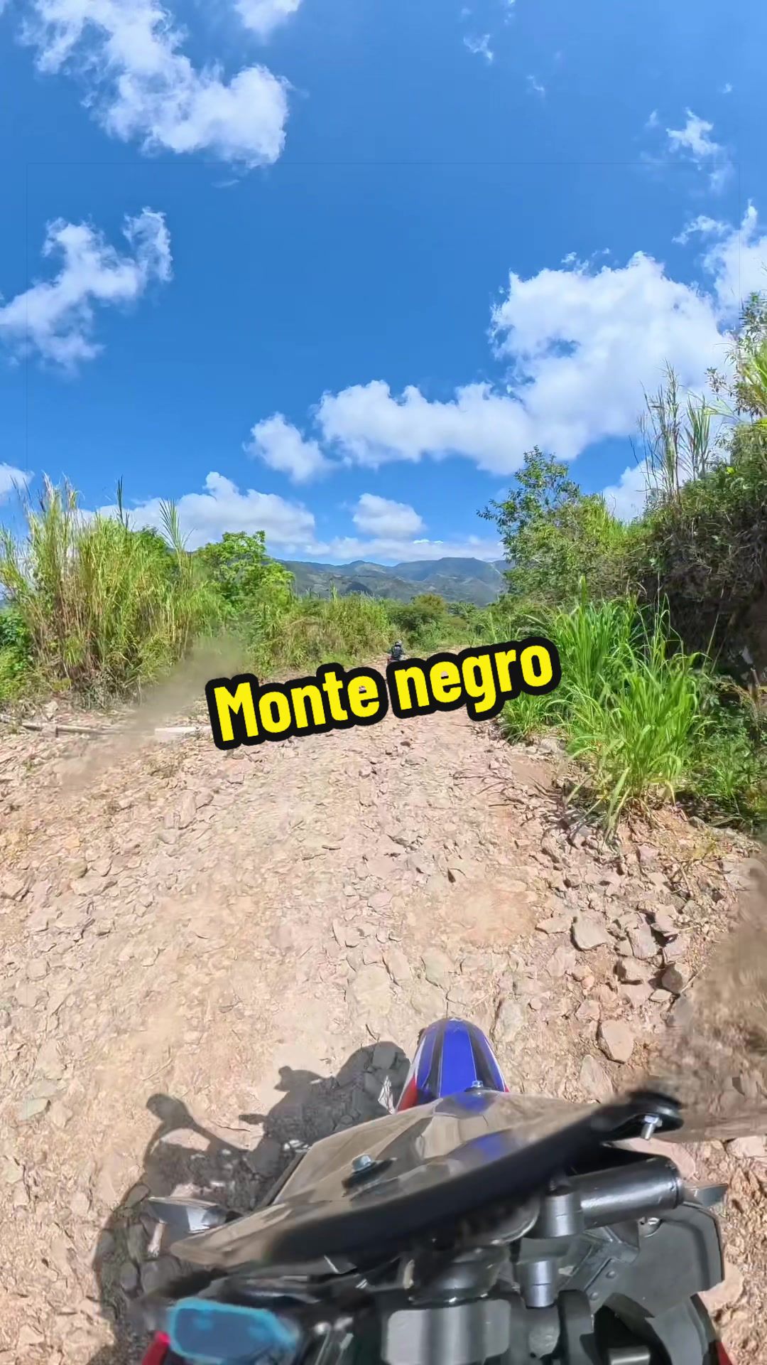 @ArielSerie56