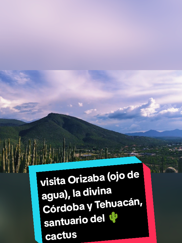 @crysslunacastro MANOAMIGA