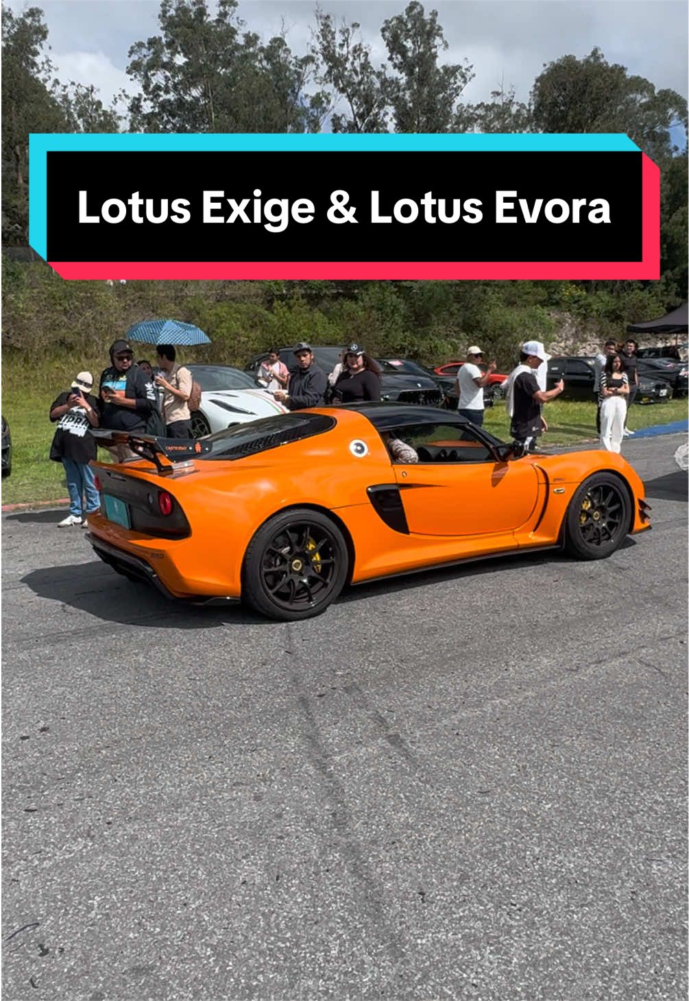 @Luxury Cars Ecuador