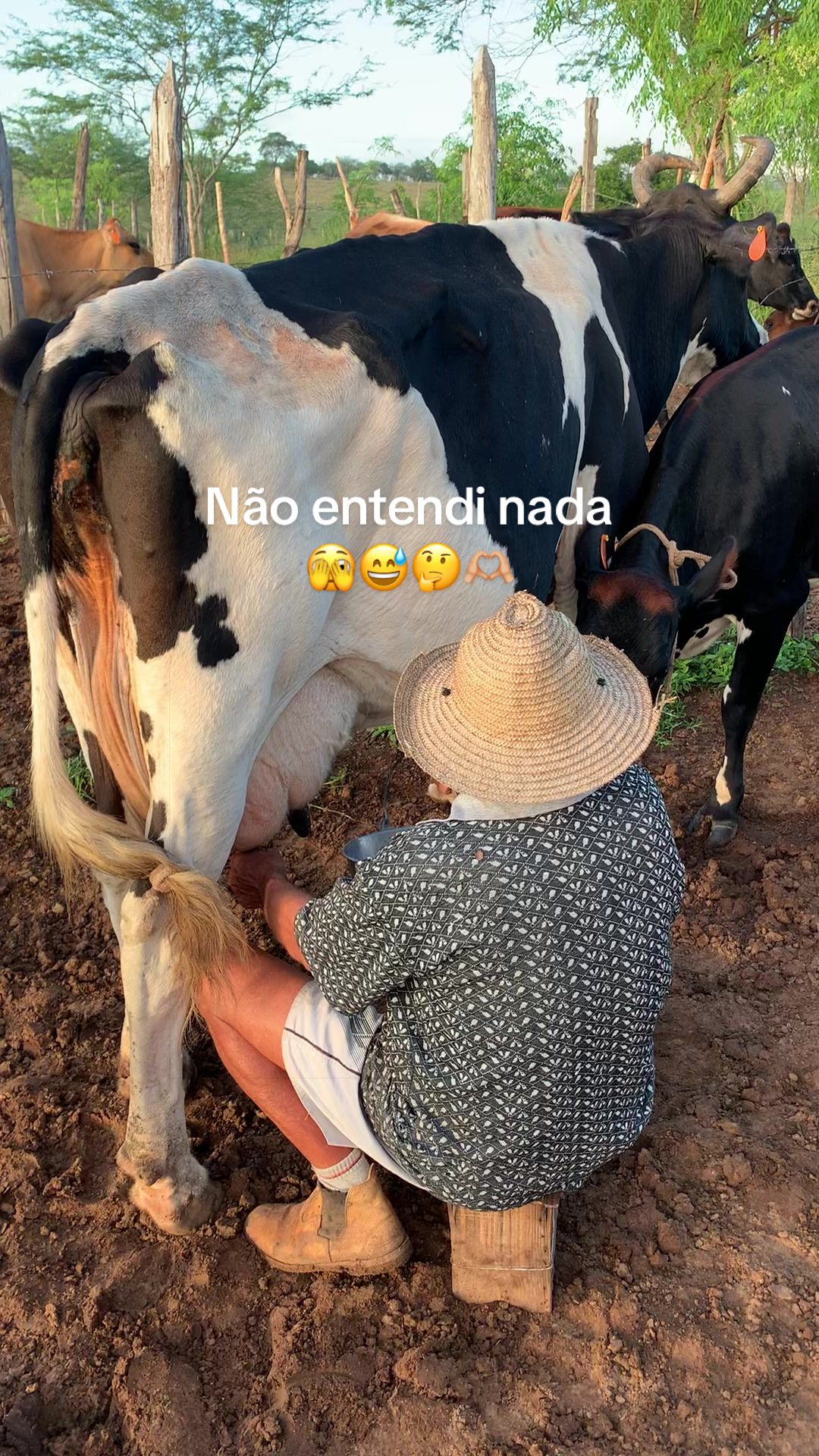 @Jacó