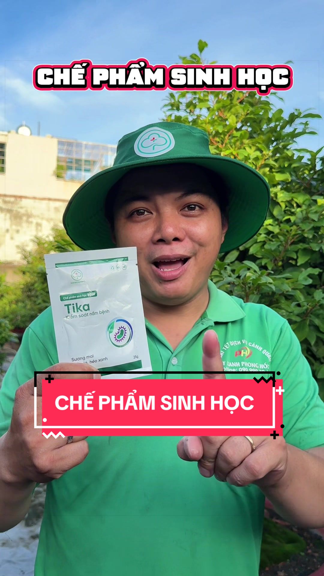 @Cây Xanh Phong Hồng
