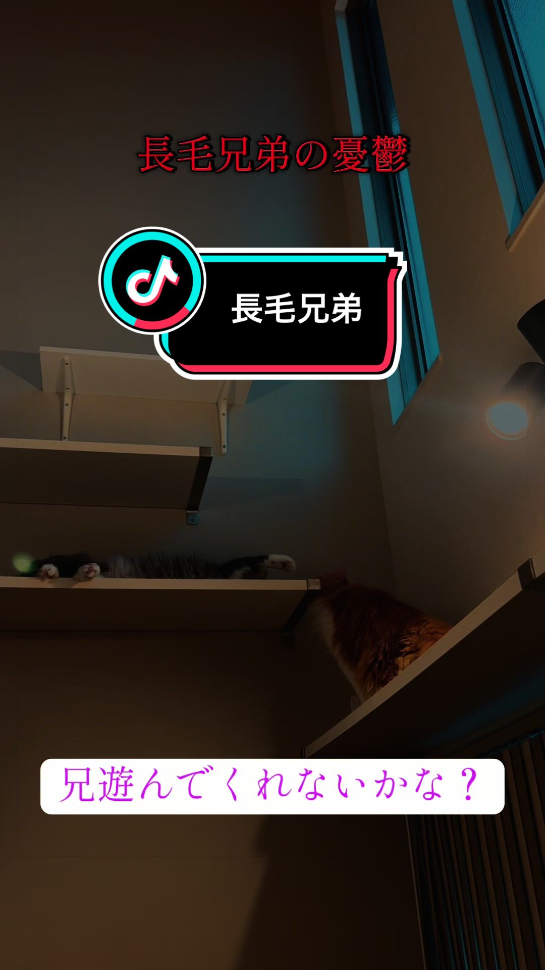 @稲荷弥勒
