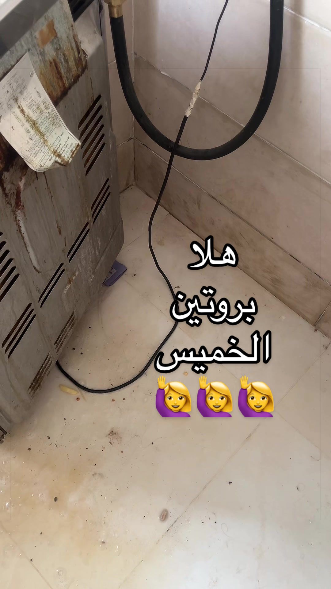 @ام نور وندي 👑