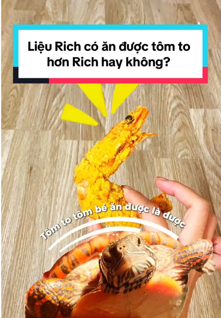 @Nhà có rùa và chó