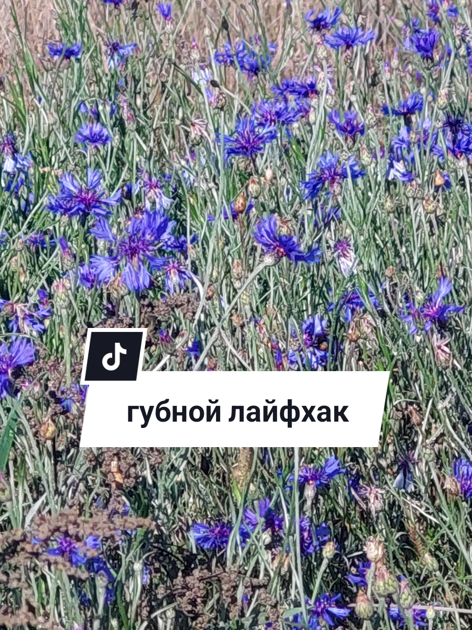 @Рыся✔️🇧🇾