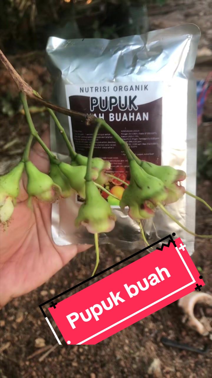 @KUD TANI