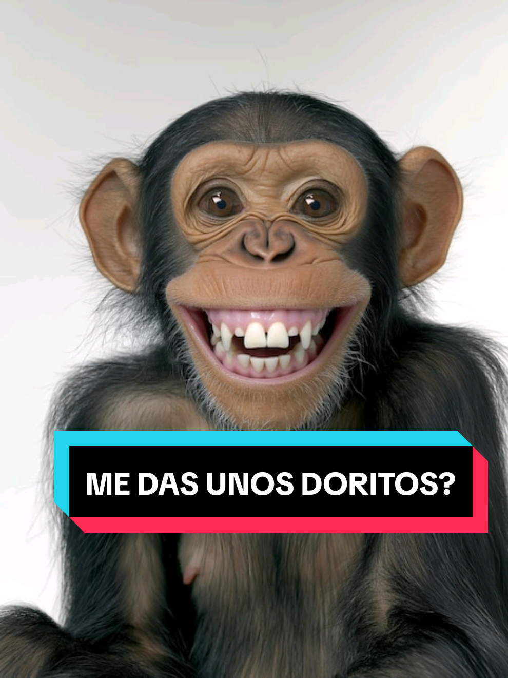 @El papu misterioso 456