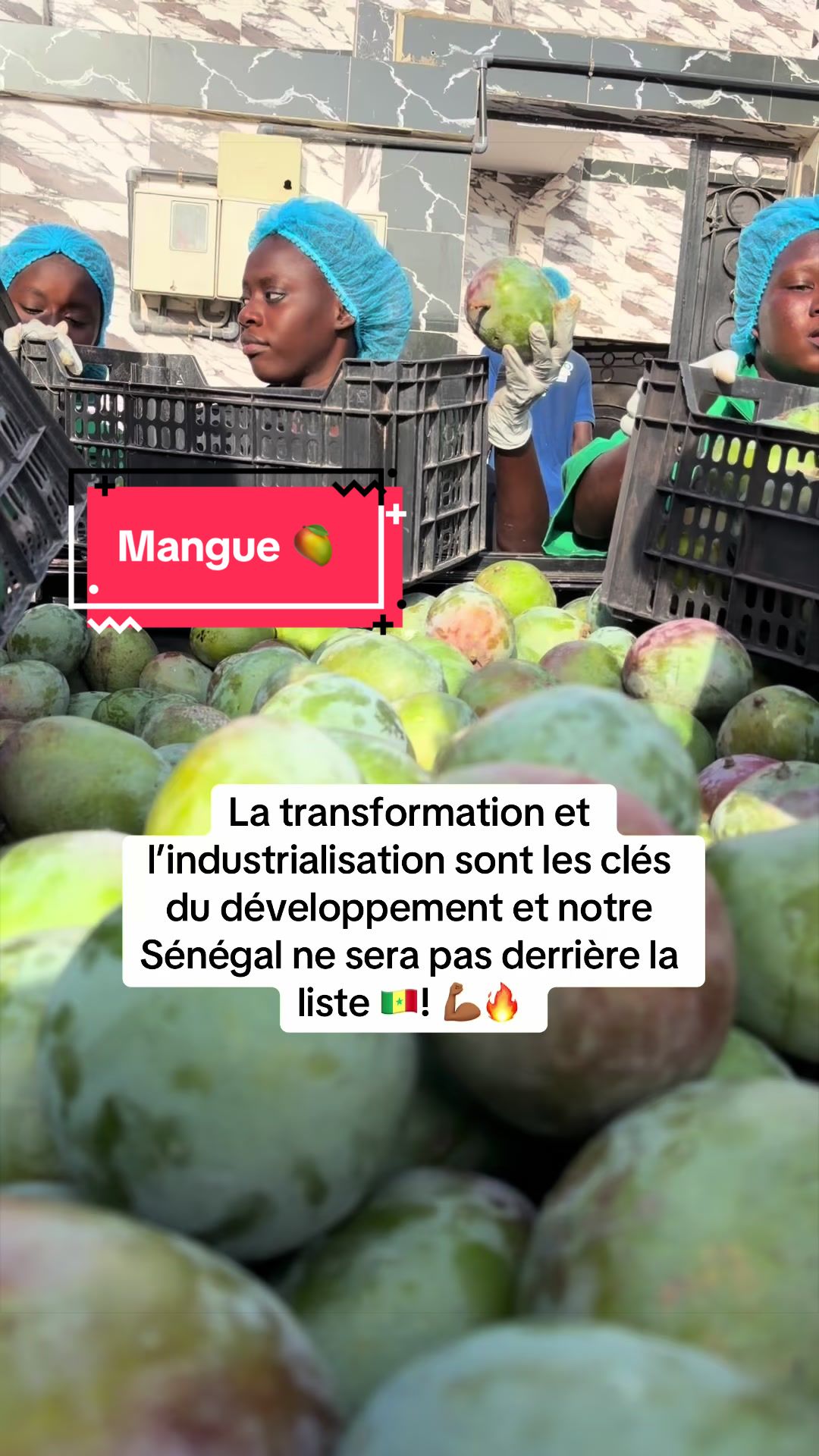 @Sonagoo Transformation Ag