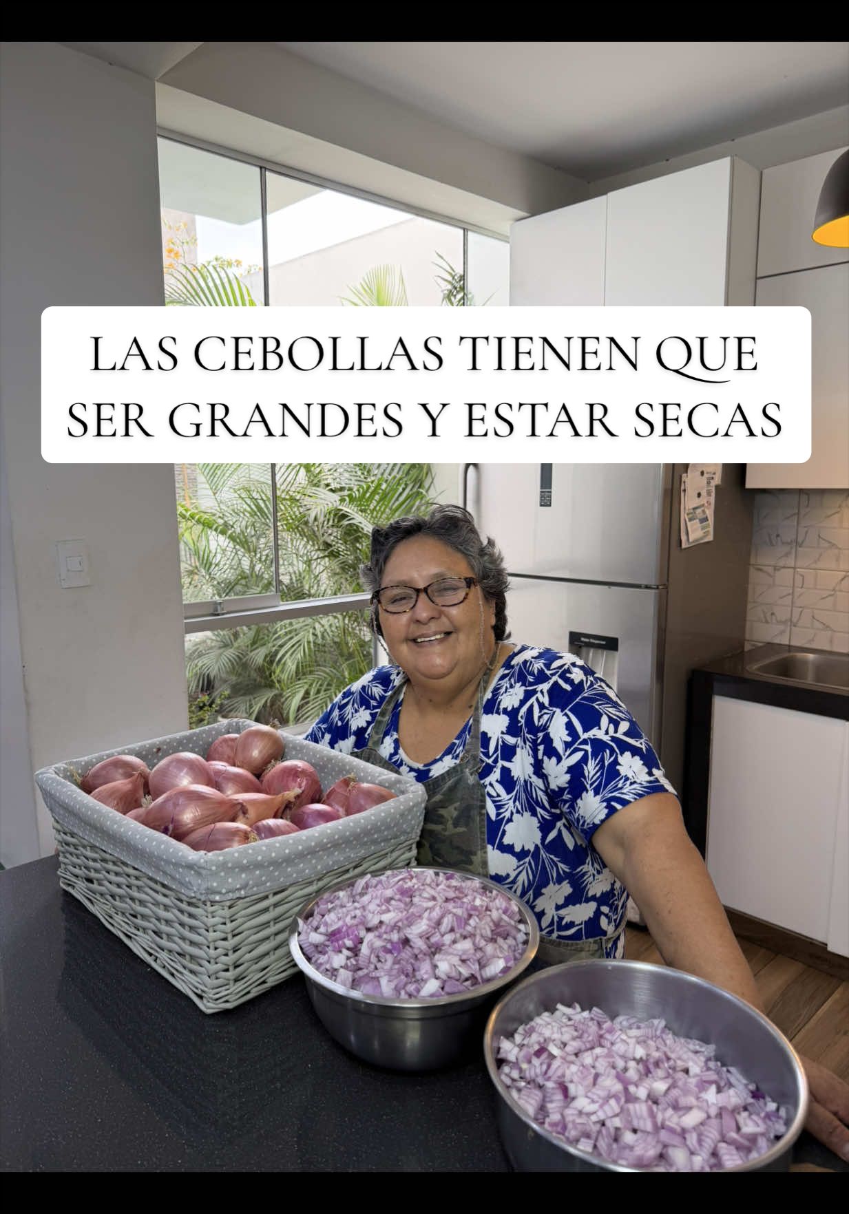 @Lanenita.postres