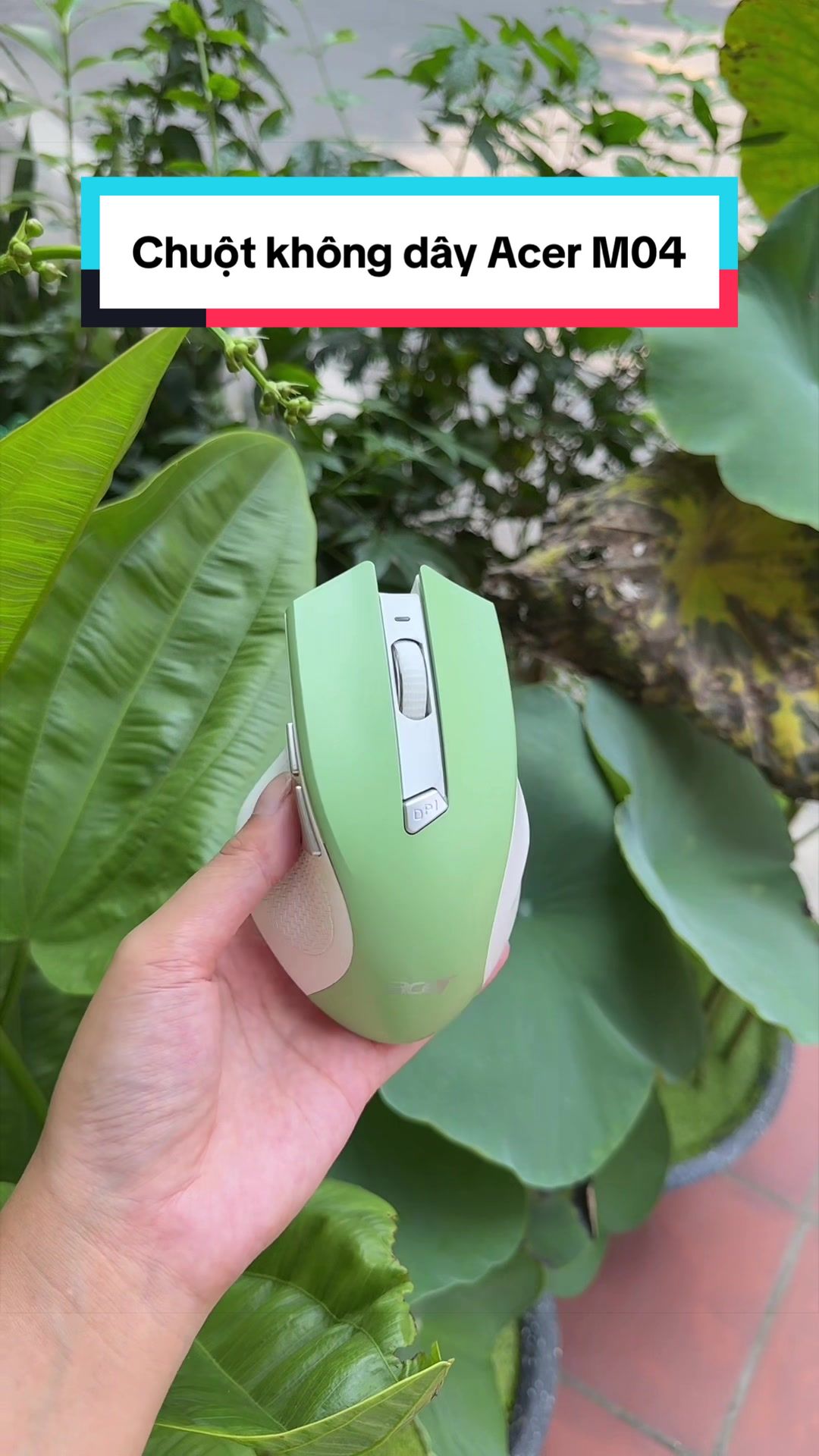 @Tuấn Bình Thường