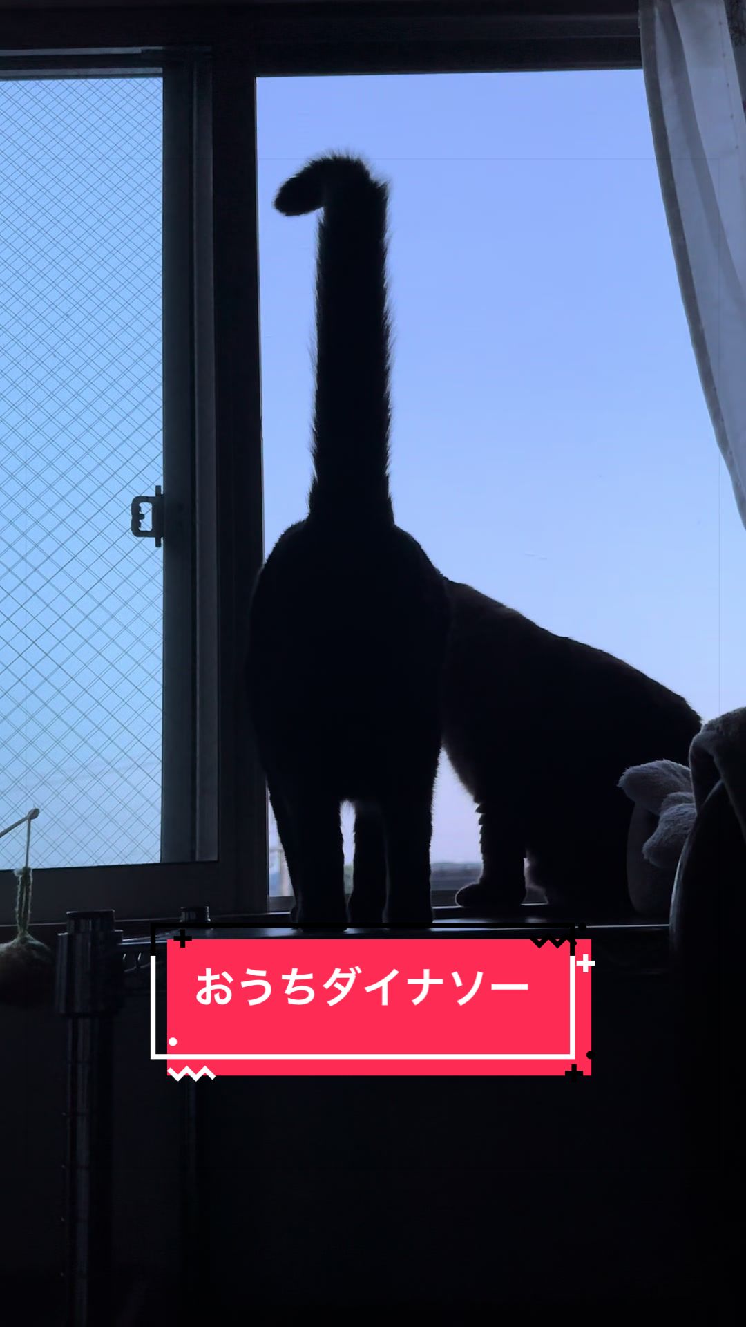 @うちのコレンジャー