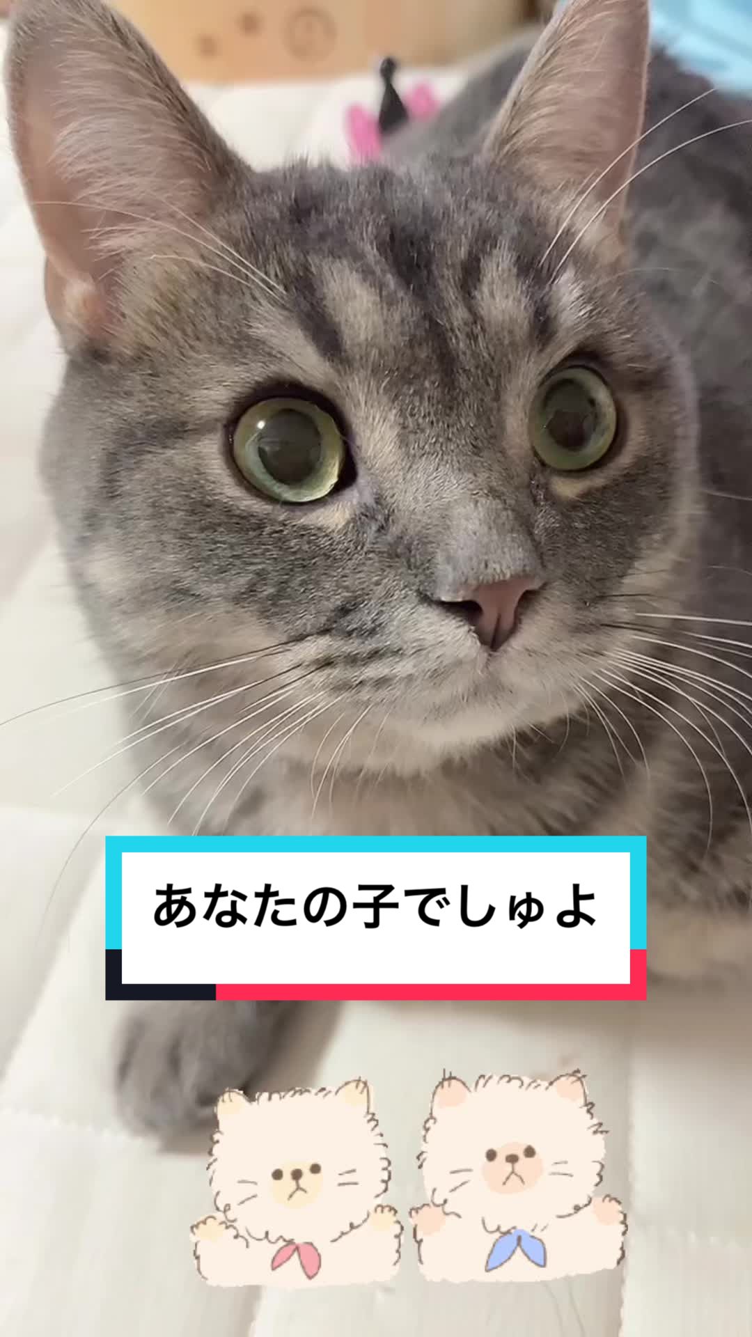 @ふたばꕤ︎︎