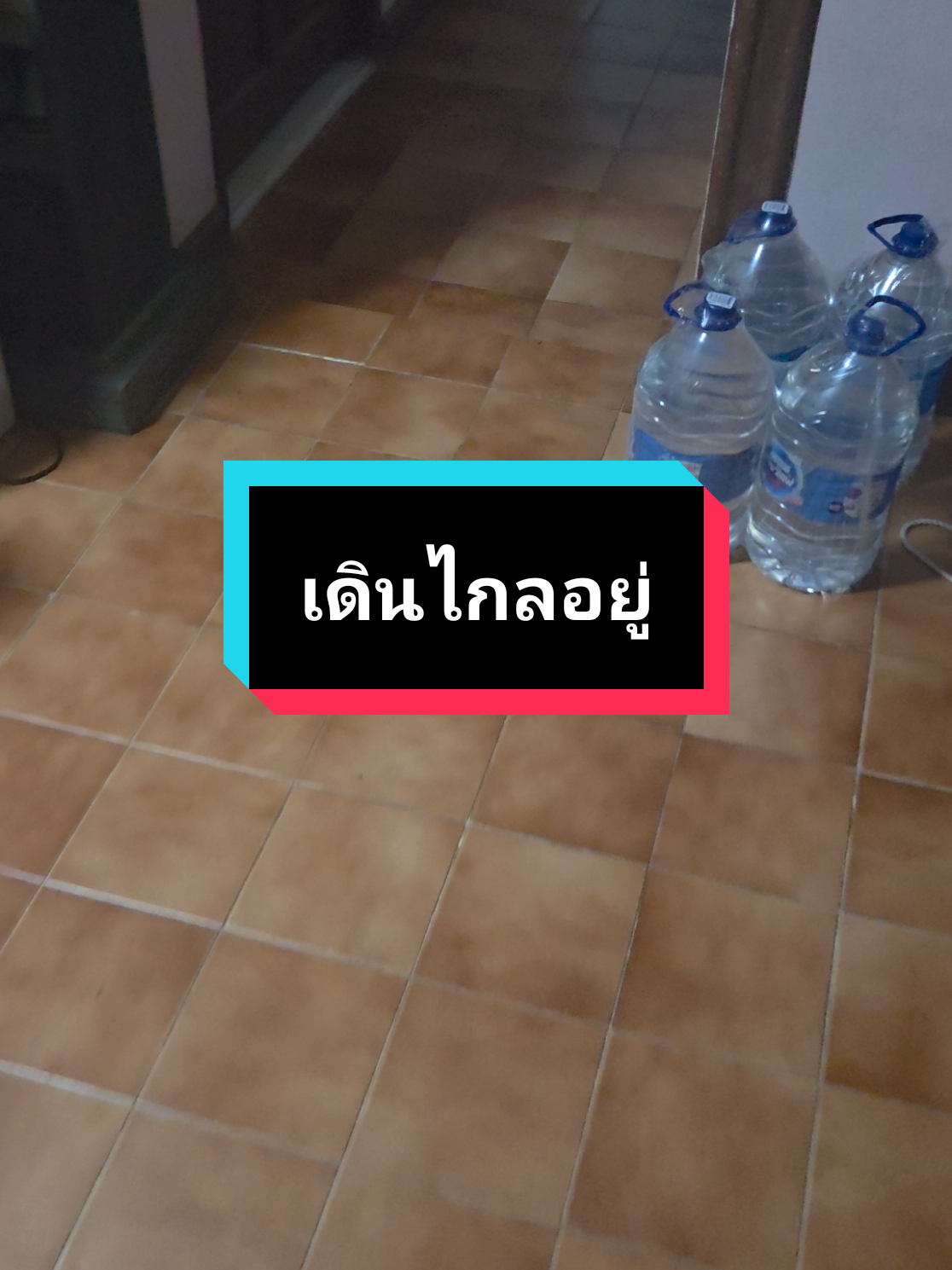 @มาเตโอ💩💩