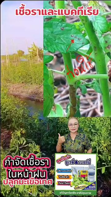@ร้านซันเกษตร