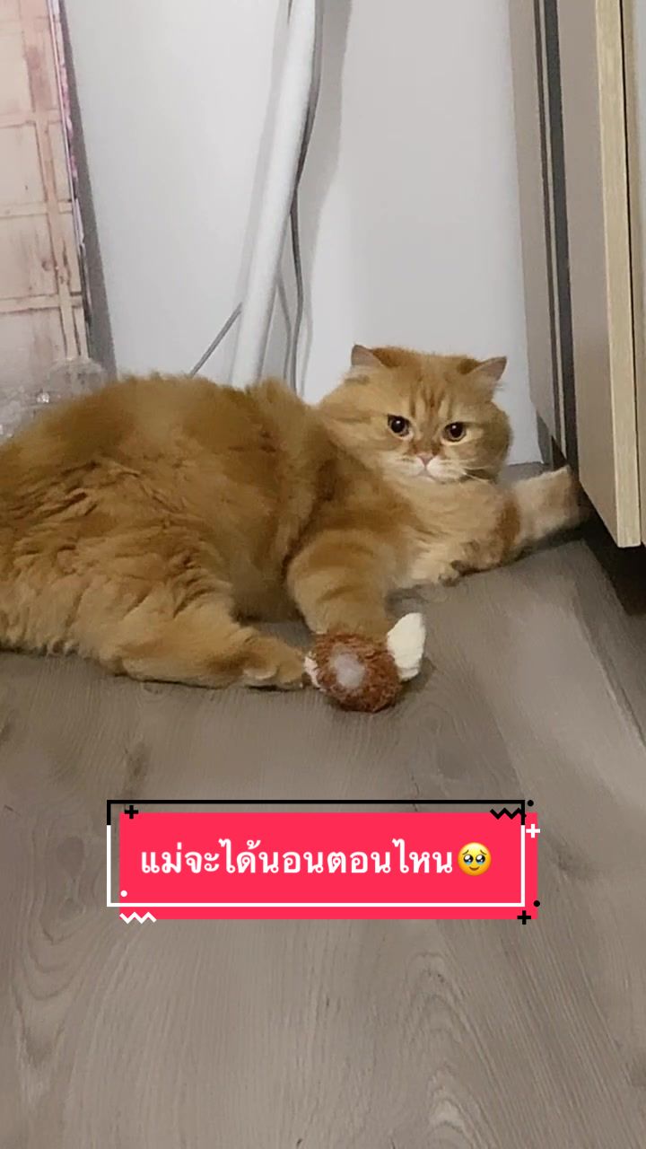 @Chonlada Buapa