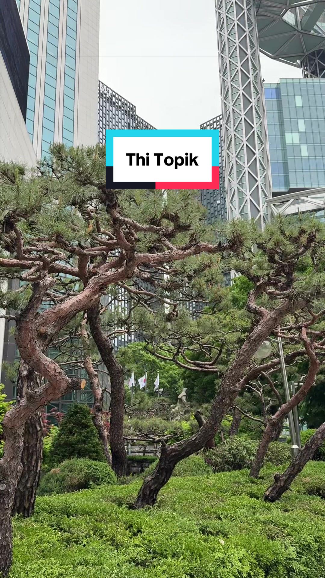 @Tr&uacute;c Korea 🇰🇷