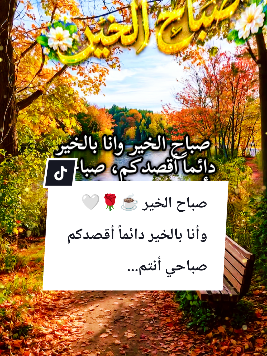 @🌟𝗦𝗼𝘂𝘇𝗮𝗻 𝗖𝗵𝗮𝗺𝘀