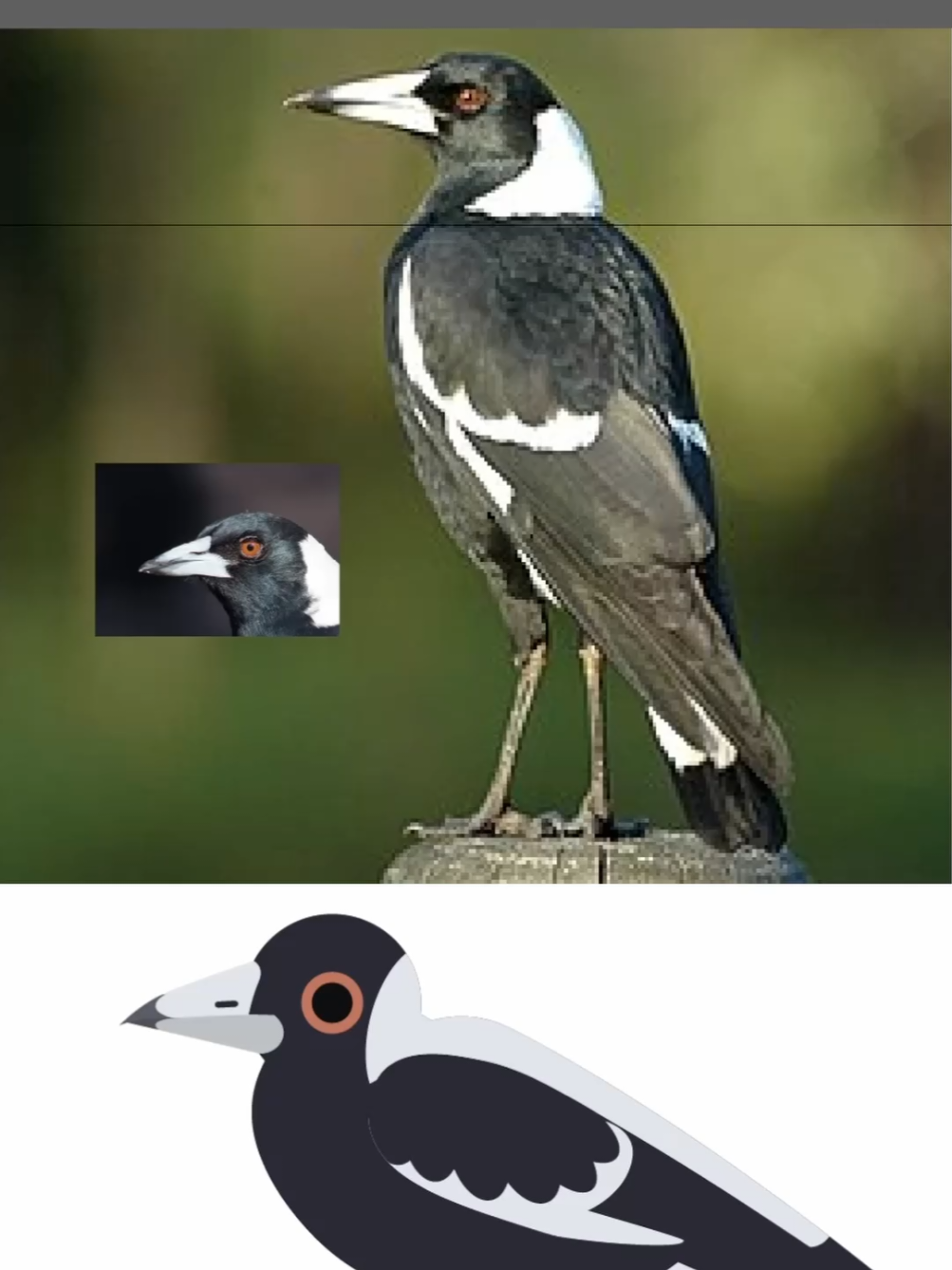 @Flock Around