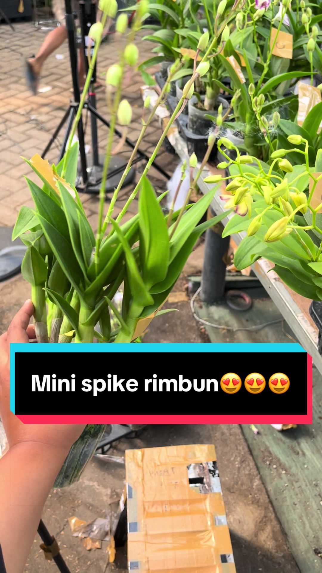 @Griya sekarindo utama