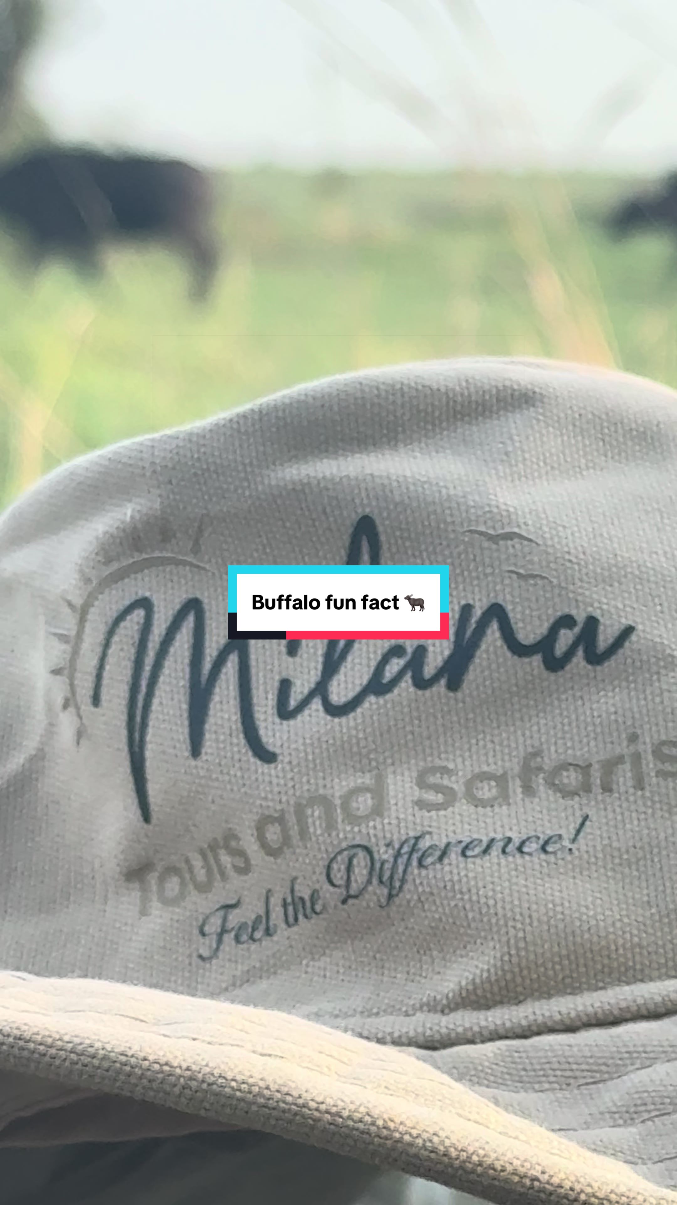 @Milana Tours and Safaris