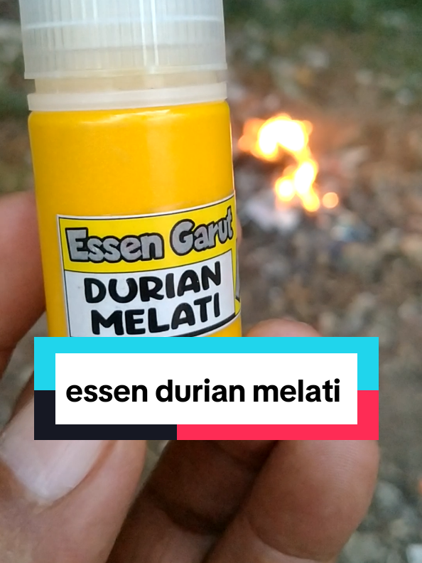 @Berkah FS