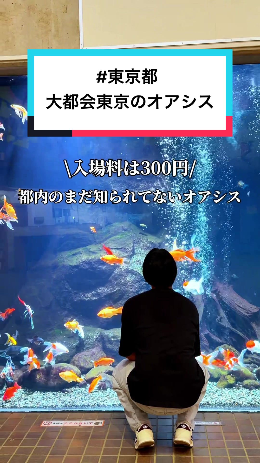 @映え旅けんと | 東京発の全国おでかけ情報
